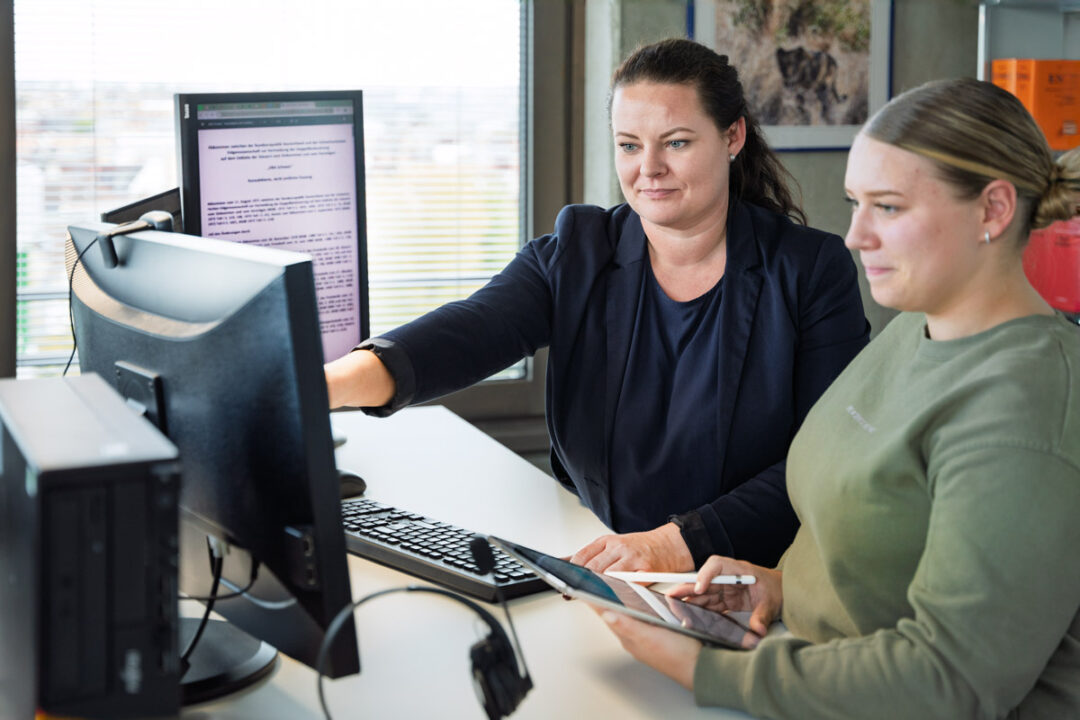 Ausbildung/Studium